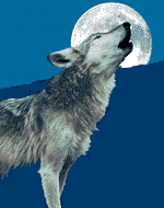 LOUP